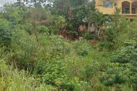 Residential Lot for Sale in Kingston 19