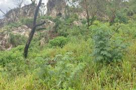 Residential Lot for Sale in Kingston 19