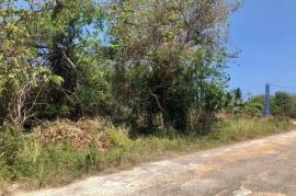 Residential Lot for Sale in Duncans