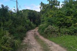 Residential Lot for Sale in Runaway Bay