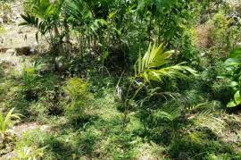 Residential Lot for Sale in Runaway Bay