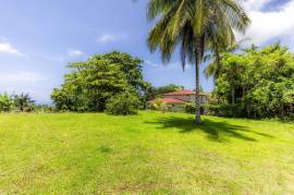 Residential Lot for Sale in Ocho Rios