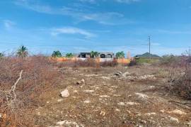 Residential Lot for Sale in Greater Portmore