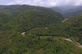 Residential Lot for Sale in Hope Bay