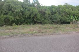 Residential Lot for Sale in White House WD