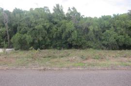 Residential Lot for Sale in White House WD