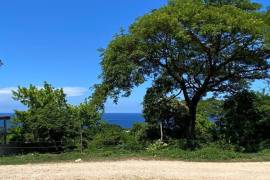 Residential Lot for Sale in Boscobel