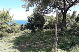 Residential Lot for Sale in Boscobel