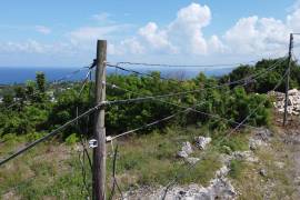 Residential Lot for Sale in Tower Isle