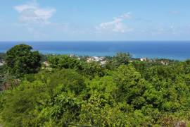 Residential Lot for Sale in Tower Isle