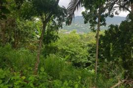 Residential Lot for Sale in Kingston 9