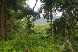 Residential Lot for Sale in Kingston 9