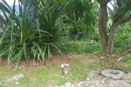 Residential Lot for Sale in Kingston 9