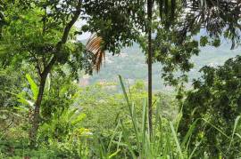 Residential Lot for Sale in Kingston 9