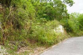 Residential Lot for Sale in Kingston 9