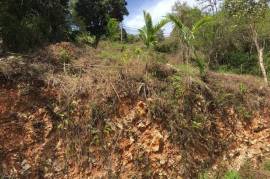 Residential Lot for Sale in Kingston 9