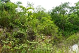 Residential Lot for Sale in Kingston 9