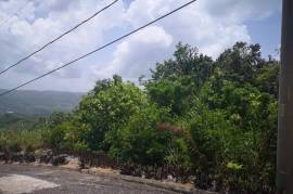 Residential Lot for Sale in Mandeville