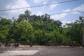 Residential Lot for Sale in Mandeville