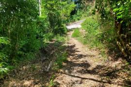 Residential Lot for Sale in St. Ann's Bay