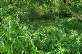 Residential Lot for Sale in St. Ann's Bay