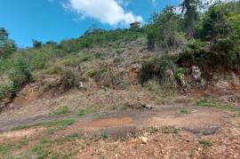 Residential Lot for Sale in Kingston 8