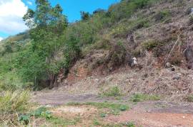 Residential Lot for Sale in Kingston 8