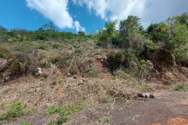 Residential Lot for Sale in Kingston 8