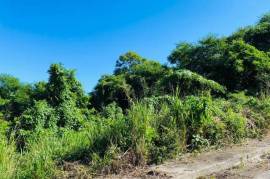 Residential Lot for Sale in Montego Bay