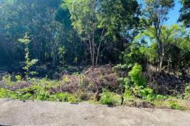 Residential Lot for Sale in Montego Bay