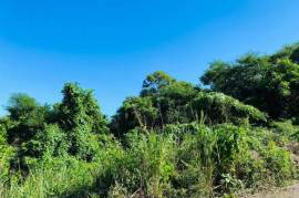 Residential Lot for Sale in Montego Bay