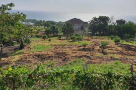 Residential Lot for Sale in White House WD