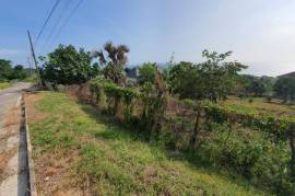 Residential Lot for Sale in White House WD