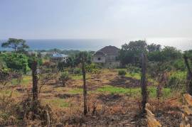 Residential Lot for Sale in White House WD