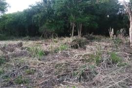 Residential Lot for Sale in Tower Isle