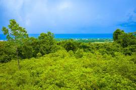 Residential Lot for Sale in Runaway Bay