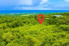 Residential Lot for Sale in Runaway Bay