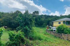 Residential Lot for Sale in Tower Isle