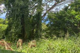 Residential Lot for Sale in Port Maria