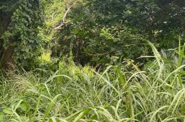 Residential Lot for Sale in Port Maria