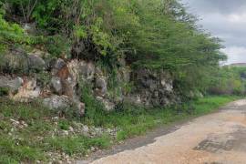 Residential Lot for Sale in Red Hills