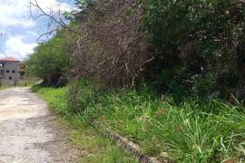 Residential Lot for Sale in Red Hills