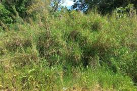 Residential Lot for Sale in Red Hills