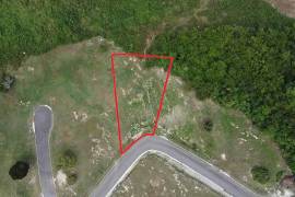 Residential Lot for Sale in White House WD