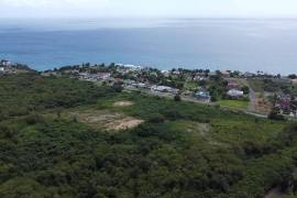 Residential Lot for Sale in White House WD