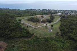 Residential Lot for Sale in White House WD