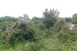 Residential Lot for Sale in Kingston 19