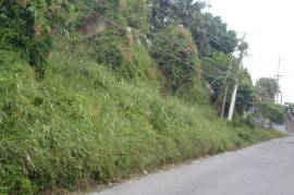 Residential Lot for Sale in Kingston 19