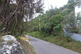 Residential Lot for Sale in Kingston 19