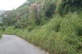 Residential Lot for Sale in Kingston 19